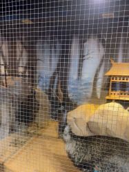 -酷嗒动物文化乐园(cutezoo西溪乐天城店)