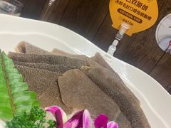 -巴奴毛肚火锅(九洲店)