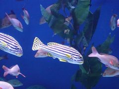 -成都浩海立方海洋公园