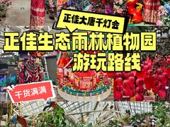 -正佳雨林生态植物园