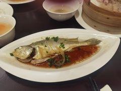 -京香轩·中餐厅(上海中庚聚龙酒店)