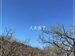 -吉姆冒险世界(蓟州店)