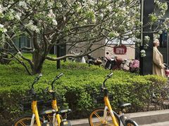 -北京丽晶酒店