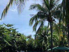 -三亚湾海居铂尔曼度假酒店