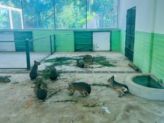 -石家庄市动物园