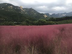 -昆嵛山石门里景区