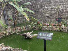 -燊海井