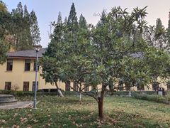 -T80科技文化国际社区-停车场