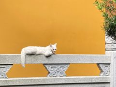 -杭州上天竺法喜讲寺