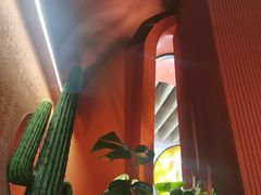 -墨纪Mojí墨西哥餐厅(南开大悦城店)