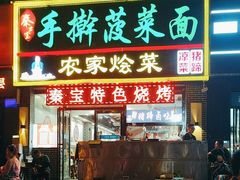 -秦君宝手擀菠菜面(金花路店)