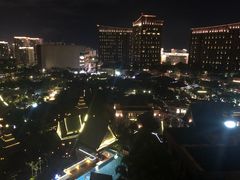 -海南椰子鸡餐厅(三亚湾红树林店)