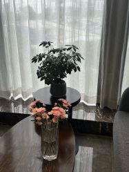 -美健盛世·美容SPA连锁