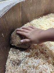 -Zoolung Zoolung动物主题公园(海信广场店)