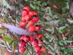 -醉得意·家常菜(二七路店)