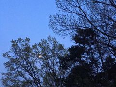 -鬼笑石后山停车场
