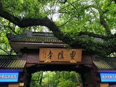 -杭州湖滨in77