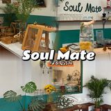 增城探店|Soul Mate |绿系复古夏日风下午茶