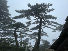 -黄山白云宾馆