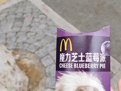 -麦当劳(南京五龙店)