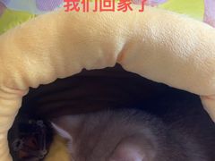 -美联众合爱康动物医院•复杂内科•肿瘤科•牙科•腔镜诊疗中心