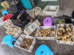 -杨记山珍鸡煲菌汤锅