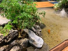 -森味薪火烧•烧鸟居酒屋•日本料理(望京店)