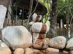-张家港金凤凰度假村温泉