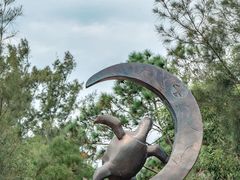 -广东惠东海龟国家级自然保护区