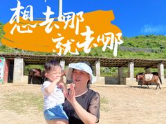 -齐岳山