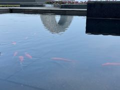 -南太湖山庄·四季轩&国风堂中餐厅
