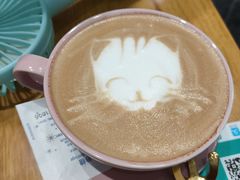 -猫色咖啡·猫咖