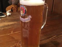 黄啤-宝莱纳啤酒花园餐厅PAULANER BRAUHAUS Nanjing(广州路店)