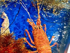 -盒马鲜生(莱蒙都会店)