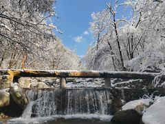-陕西省红河谷森林公园