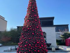 -上海崇明金茂凯悦酒店