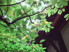 -成都杜甫草堂博物馆