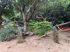 -广州长隆飞鸟乐园