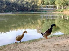 -河南省黄河迎宾馆