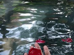 -和顺柏联温泉
