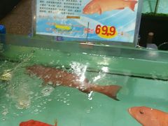 -渔民新村(番禺总店)