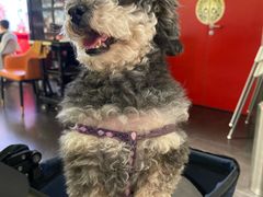 -潮民公馆(BFC外滩金融中心店)