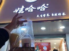 门面-娃哈哈·奶茶(武林店)