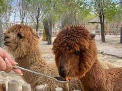 -水上乐园·欢乐世界