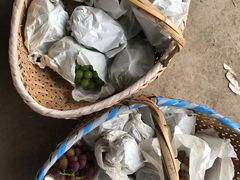 -马陆小张葡萄园农家乐