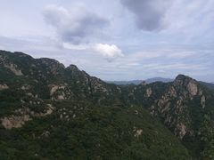 -大岭沟猕猴桃谷风景区