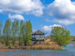 -泗洪洪泽湖湿地景区