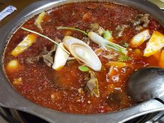 -老巷羊蝎子城(湘江世纪城店)