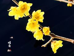 -颐和园