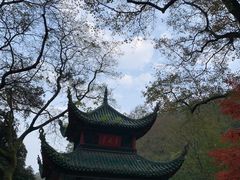 -岳麓山风景名胜区